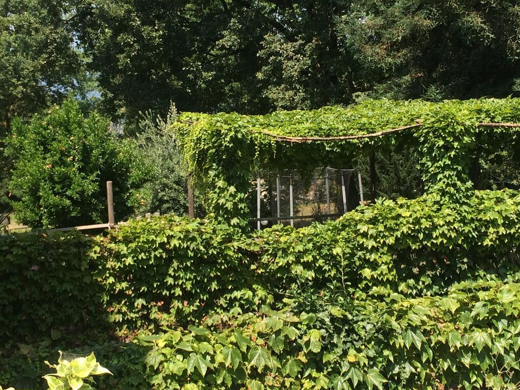 Bed and Breakfast Fattoria Sequoia Castagneto Po Exterior foto