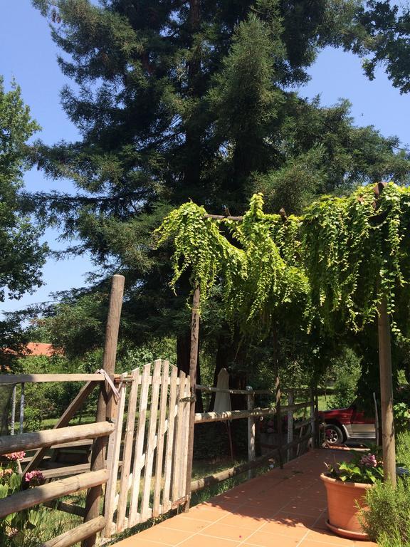 Bed and Breakfast Fattoria Sequoia Castagneto Po Zimmer foto